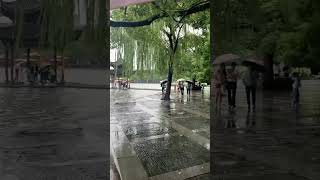 雨中漫步杭州西湖 #杭州 #海外华人