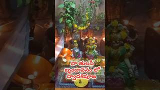 #క్షీరాబ్ది ద్వాదశి పూజ #Ksheerabdi Dwadasi Pooja  #shorts