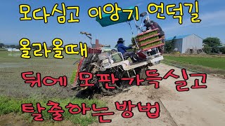 얀마8조승용이앙기 힘좋습니다🚜5천4백만원값 제대로 합니다