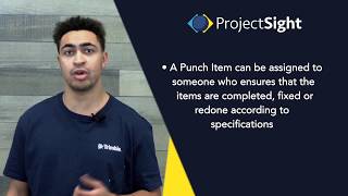 ProjectSight Training - Punch Items