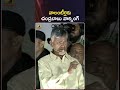 వాలంటీర్లకు చంద్రబాబు వార్నింగ్ chandrababunaidu tdp volunteer shorts mango news