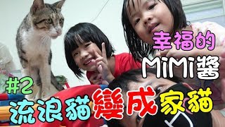 『幸福的貓咪』從流浪貓變成家貓-謝謝大家的關心和分享...MiMi Cat Story#2