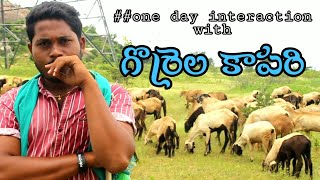 One Day Interaction With గొర్రెల కాపరి.|| One Day In Life With shepherd..