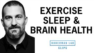 How Exercise Helps Brain Health, Sleep & Performance | Dr. Andrew Huberman