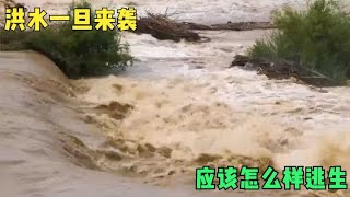 洪水一旦来袭，应该怎么样逃生，住低层和高层的哪一个更安全