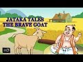 Jakata Tales - The Brave Goat - Moral Stories for Children - Animated Cartoons/Kids