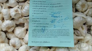 goutampura mandi me aai lahsun bhav 27/08/2024 garlic ret#लहसुन भाव #प्याज भाव