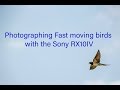 Sony Rx10iv and Photographying fast moving birds