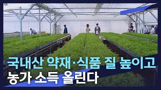 [뉴스데스크] 국내산 약재,식품 질 높이고 농가 소득 올린다