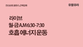 1969회 12월 31일 화요일 꿈기습  호흡에너지운동