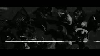 Niñote The Magic Flow - Mundo Insano 2
