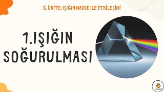 17) 5. ÜNİTE: IŞIĞIN SOĞURULMASI