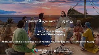 பாஸ்கா 3ஆம் வாரம் - ஞாயிறு  | 3rd Sunday of Easter