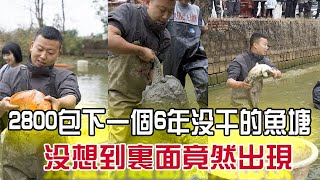 花2800包下壹個6年沒幹的魚塘，沒想到裏面竟然出現…#農村生活  #三農 #戶外 #我要上熱門 #小飛哥#抓魚vlog