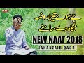 Jay Howy Tera Roza || New Naat 2018 || Jahanzaib Qadri