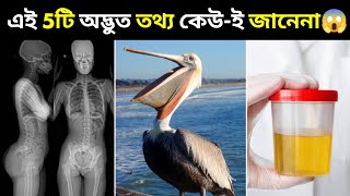 এই 5টি অদ্ভুত তথ্য অনেকেই জানেনা । Top 5 Mind Blowing Facts । #shorts