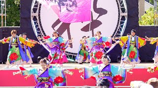 [4K] Rey華繚乱　1回目　富山のよさこい祭り 2023 日曜日 (中央)