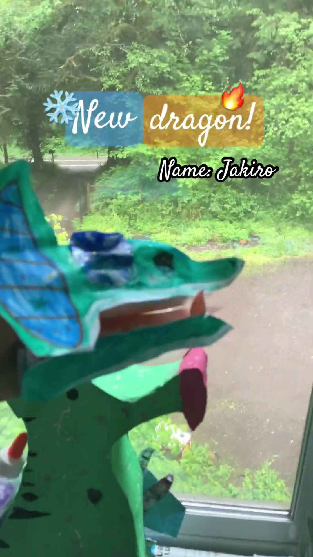 Dragonpuppets Paperdragon Dragon Paperdragonpuppet New 5