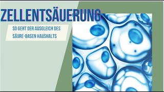 Zellentsäuerung - ganz einfach! So geht der Ausgleich des Säure-Basen-Haushalts am besten!