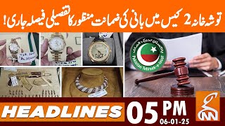 ToshaKhana Case Update | News Headlines | 05 PM | 6 Jan 24 | GNN