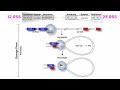 T and B Cell Development: V(D)J Recombination