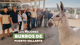 El Niño Que Soñaba con Burros y Mulas: Hoy Vive Su Sueño en El Cerrito