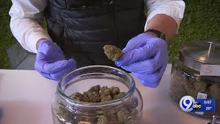 A look at legalized recreational marijuana in Massachusetts