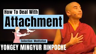 How to Deal with Attachment? - Yongey Mingyur Rinpoche | LSE 2018 【C:Y.M.R Ep.12】