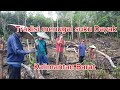 Nugal ||  Menanam padi di ladang oleh Suku Dayak