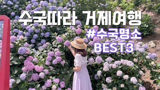 거제도수국명소 BEST3 | 파란대문집 | 거제썬트리팜 | 저구항 | 바람의언덕 | 신선대 [거제도여행]