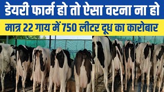 हाइब्रिड गायों का मैनेजमेंट कैसे करें/Ajit dairy farm punjab/Dairy farm in punjab/Top hf breed cow