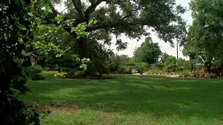 Fort Myers has a 'secret' garden that you can explore