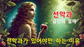 선악과,선악과를 만든 이유, 창세기 3장, 선악과가 있어야 하는 이유