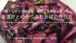 梅干し作りの副産物　梅酢と赤紫蘇を使って柴漬けとゆかりふりかけの作り方　Pickles with Red Perilla Leaves and Yukari rice seasoning