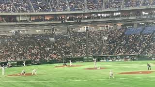 阪神、中野拓夢のナイスプレー