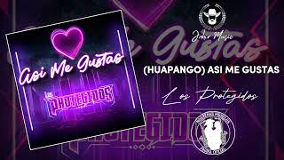 (Huapango) Así me gustas - Grupo Los Protegidos / 2023