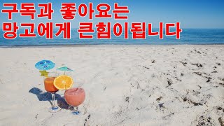 live 망고의 모두의마블2 지옥의주사위게임 시작합니다~놀러오세용#맞즐#맞팬#맞추#맞방#게임#배달#music#맞팔#kpop#shorts#모바일#음악#subscribe#노래