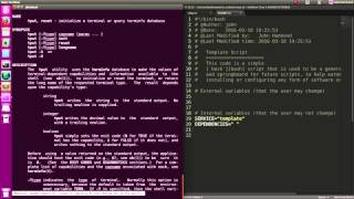 Template BASH Script