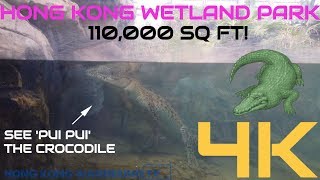 ULTRA HD 4K HONG KONG WETLAND PARK | 香港濕地公園