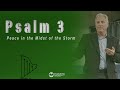 Psalm 3 -  Peace in the Midst of the Storm