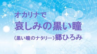 オカリナで「哀しみの黒い瞳」郷ひろみ