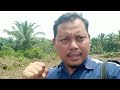 cara pemancangan stacking untuk pembukaan lahan