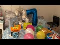 Birthday Surprise for my German Husband Last Year// Filipina in Germany