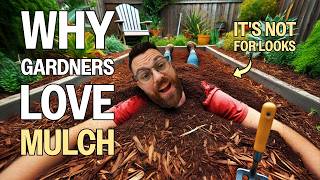 Why Your Garden NEEDS Mulch