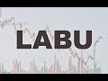 Fun with Stocks - LABU