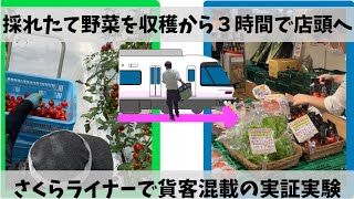 さくらライナーで朝採れ野菜を輸送【近鉄不動産公式】