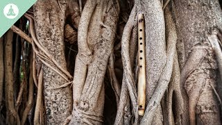 Bamboo Flute Music, Asian Music, Meditation, Relaxing