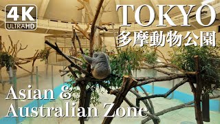 【4K】Tama Zoological Park Part3, Asian \u0026 Australian Zone（Binaural Tokyo Sounds）