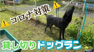 【ドッグラン】コロナ対策！熱中症対策！ 大自然の中で川遊びも出来る貸し切りドッグラン