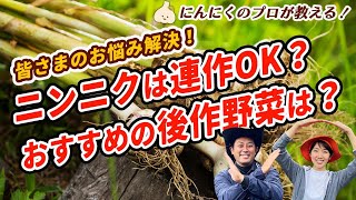 有機栽培のプロが教える！【ニンニクの連作】対策と後作におすすめの野菜！／家庭菜園・輪作